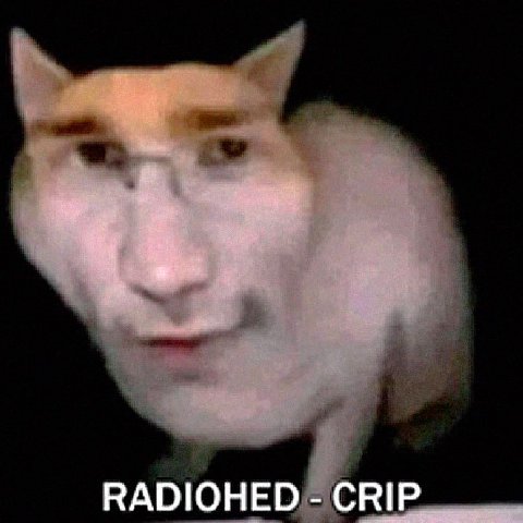 RADIOHED CRIP