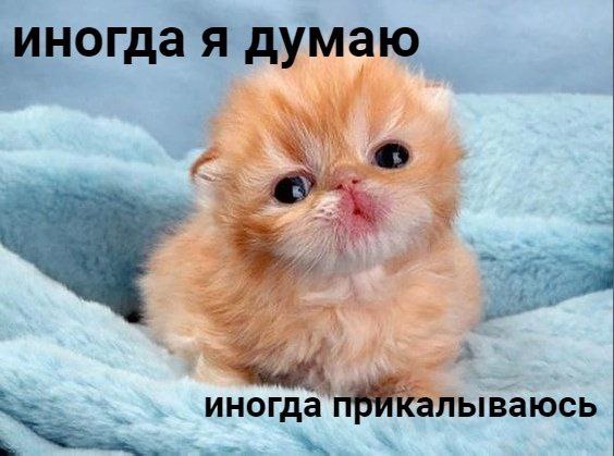 иногда я думаю к) А иногда