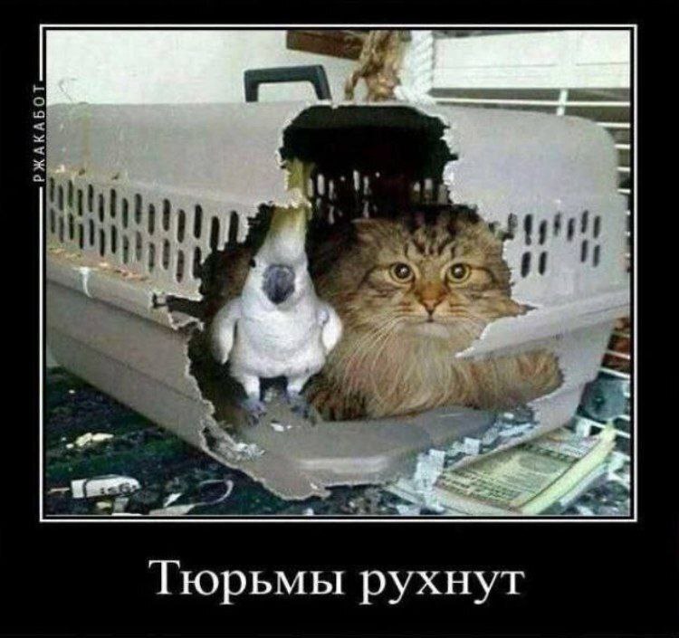 4 Тюрьмы рухнут