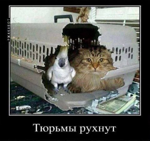4 Тюрьмы рухнут