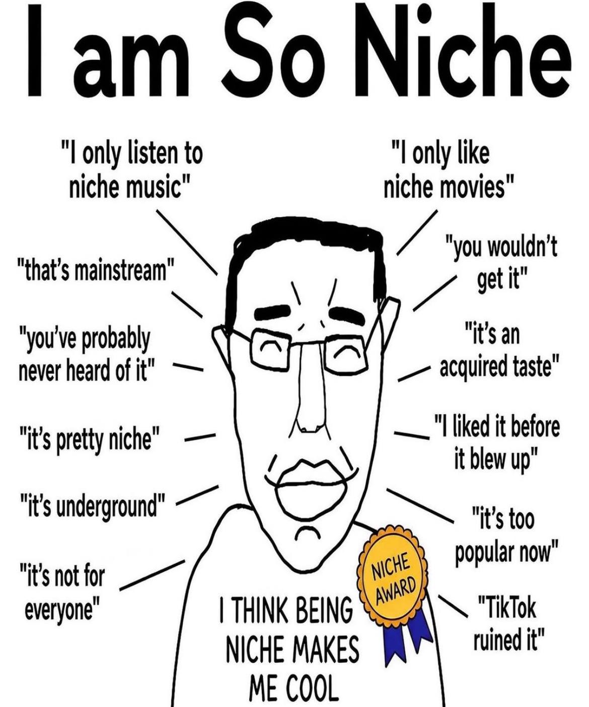 So Niche only listen to like niche music" niche movies" "you wouldn’t get it" "that’s "you've probably у "it’s an never heard of it" acquired taste” "I liked it before "it’s pretty niche" it blew up" 