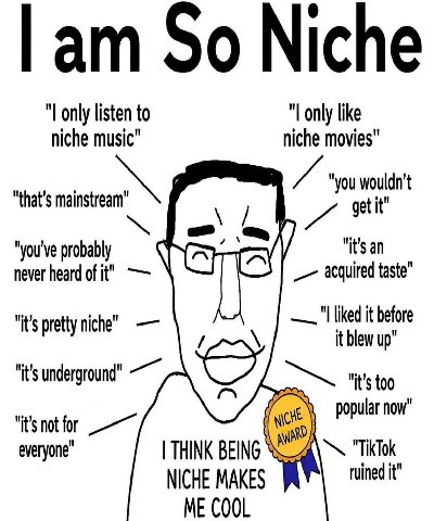 So Niche only listen to like niche music" niche movies" "you wouldn’t get it" "that’s "you've probably у "it’s an never heard of it" acquired taste” "I liked it before "it’s pretty niche" it blew up" 