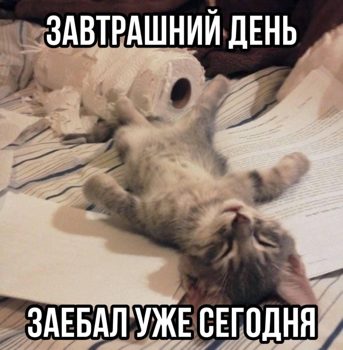 ЗАВТРАШНИЙ ДЕНЬ 3 ЗАЕБАЛ