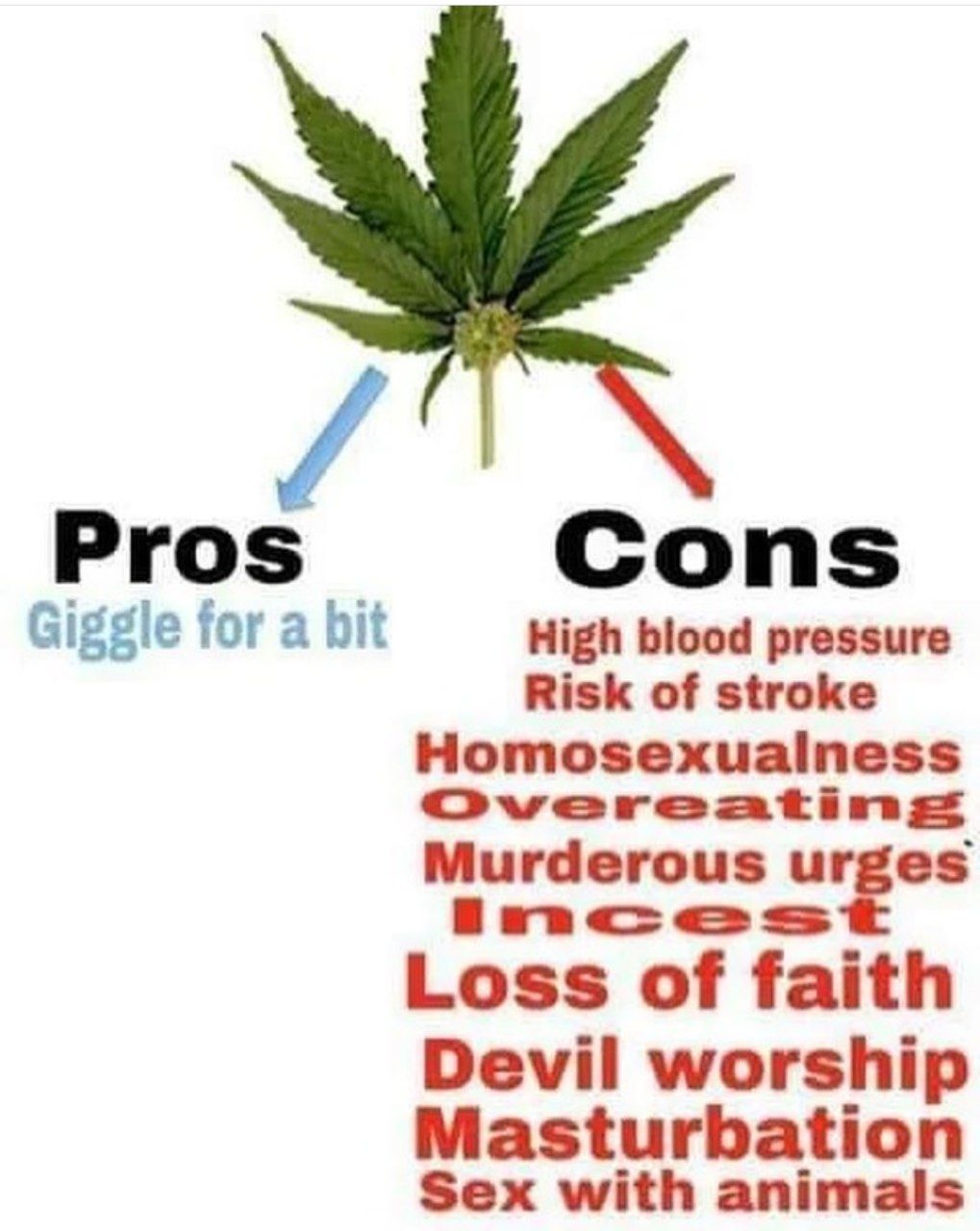 Pros Cons Giggle for a bit High blood pressure Risk of stroke Homosexualness Murderous urges Loss of faith Devil worship Masturbation Sex with animals