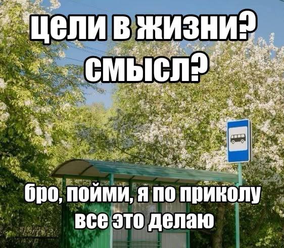 Центральный мем моей жизни