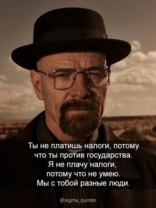 71 Ты не платишь налоги, потому что ты против государства Я не плачу налоги потому что не умею Мы с тобой разные люди @sigma_quotes