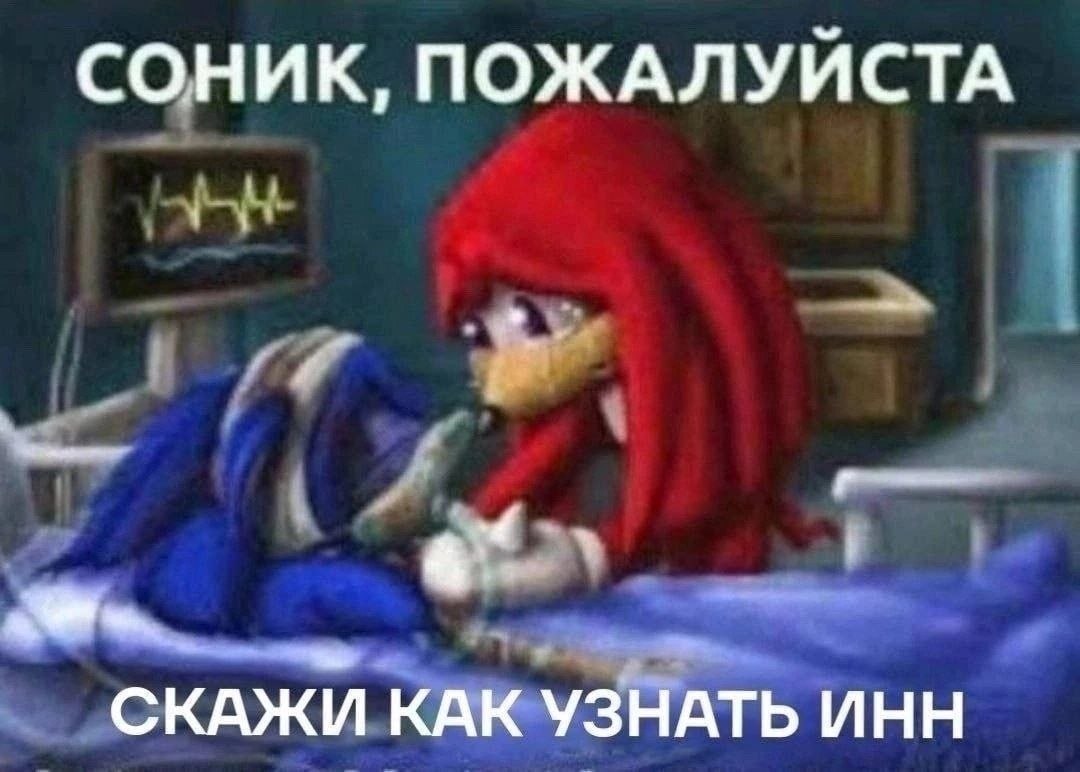 СОНИК, ПОЖАЛУЙСТА СКАЖИ КАК УЗНАТЬ ИНН