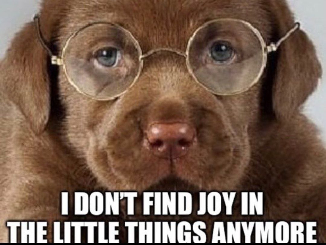FIND JOY IN THE LITTLE THINGS ANYMORE