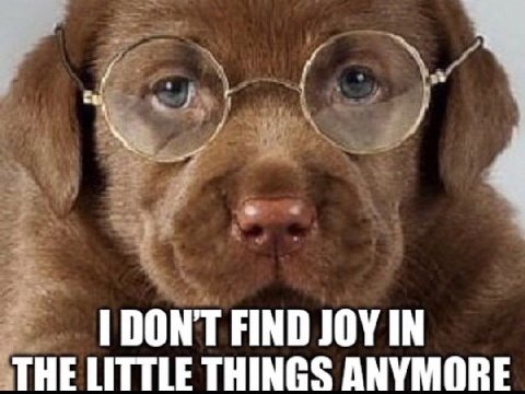 FIND JOY IN THE LITTLE THINGS ANYMORE