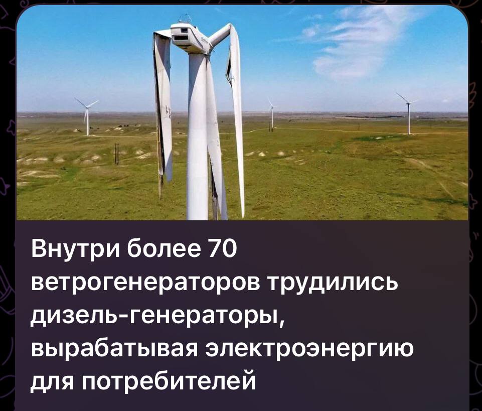 Трудились гномы из движения «реструкт», осуждённые за ксенофобию