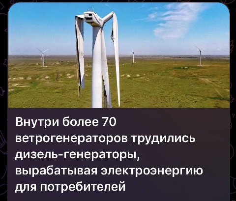 Трудились гномы из движения «реструкт», осуждённые за ксенофобию