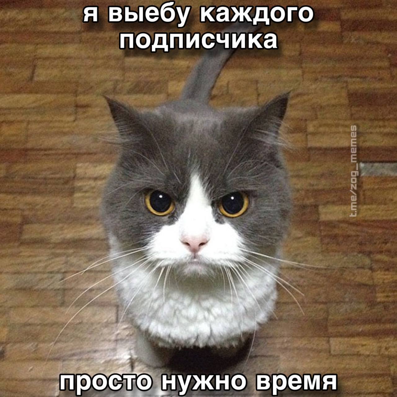 я выебу каждого подписчика просто нужно время