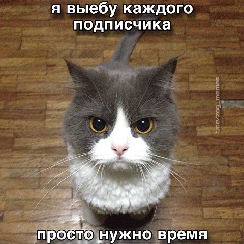 я выебу каждого подписчика просто нужно время