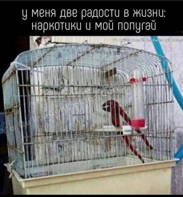 меня две радости в жизни: MOU