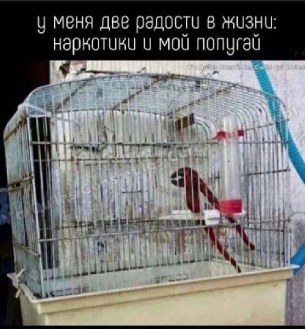 меня две радости в жизни: MOU