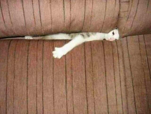 у