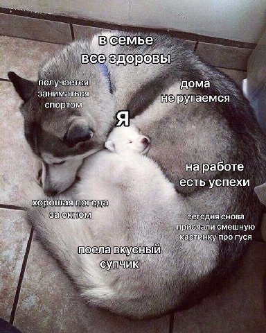 втсемье BCe.3 ВЫ получается ‚дома заниматься He pyraemca спортом $a на работе есть успехи хорошая за окном сегодня снова прислали смешную картинку про гуся поела.вкусный супчик