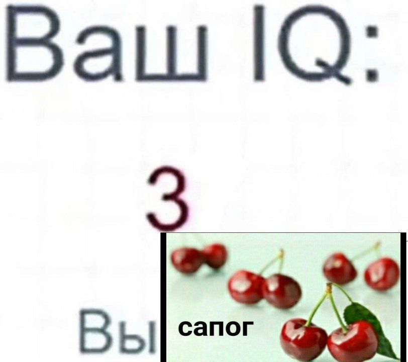 Ваш В 4
