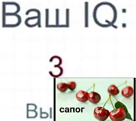 Ваш В 4