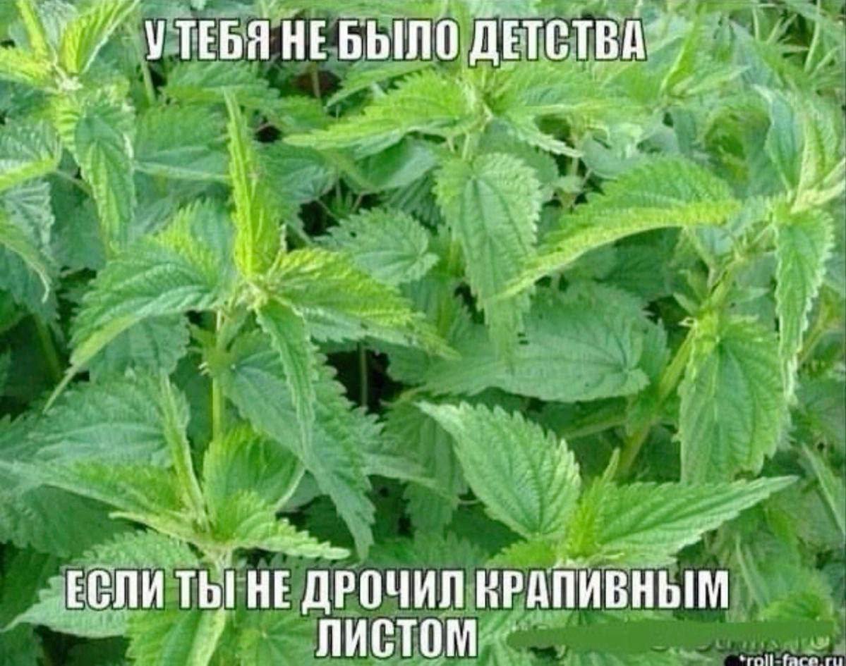 НЕБЫЛО ДЕТСТВА ЕСЛИ ТЫ! HE ДРОЧИЛ