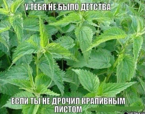 НЕБЫЛО ДЕТСТВА ЕСЛИ ТЫ! HE ДРОЧИЛ