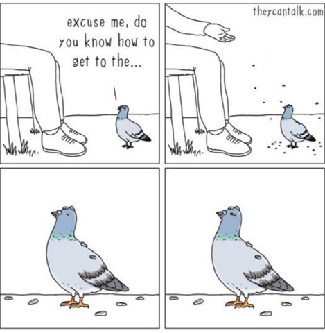 theycantalk.com excuse me, you know how to get to the...