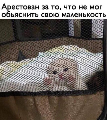 Арестован за то, что не мог О bACHUTb СВОЮ маленькость 525 о 2 Pete “Oak 2