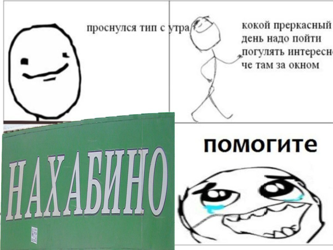 кокой преркасный проснулся тип с день надо пойти „погулять интересн че там за окном у a помогите