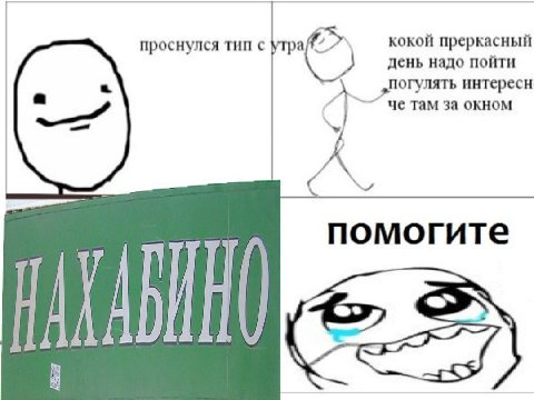 кокой преркасный проснулся тип с день надо пойти „погулять интересн че там за окном у a помогите