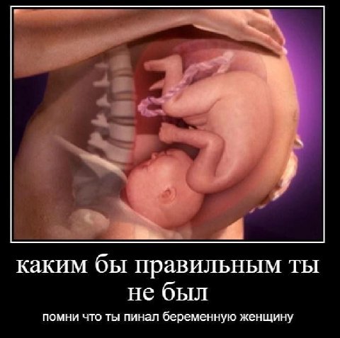 каким бы правильным ты не был помни что ты пинал беременную женщину