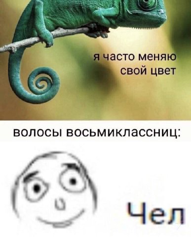 часто меняю свой цвет волосы восьмиклассниц: Чел