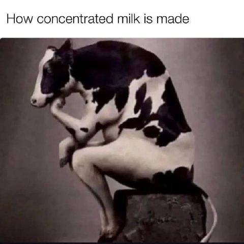 How concentrated milk is made
