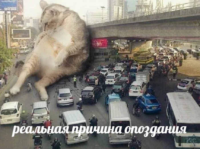 1 ile wet реальная причина опоздания