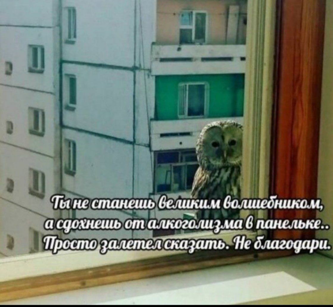 не станешь великим а сдохнешь от алкоголиз.ма 6 панельке. росто He благодари