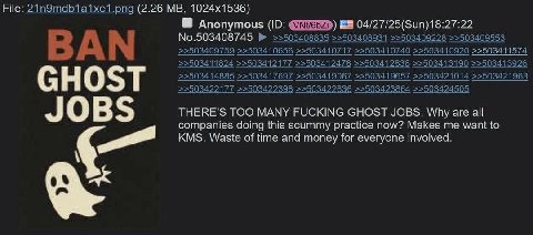 File: (2.26 Anonymous No.503408745 THERE'S TOO MANY FUCKING GHOST JOBS. Why are all companies doing this scummy practice now? Makes me want to KMS. Waste of time and money for everyone involved.