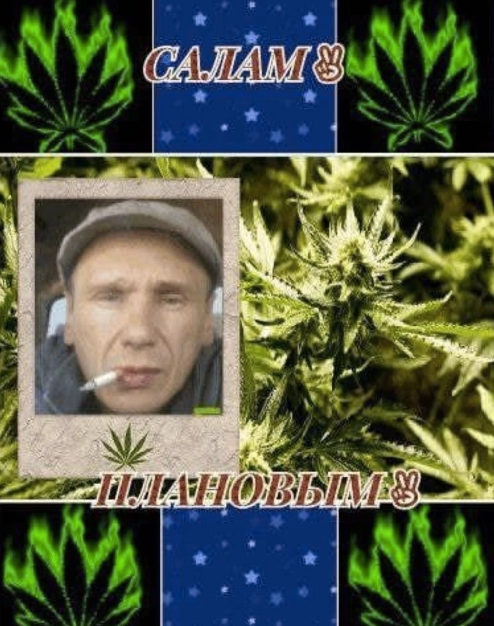 салам плановым