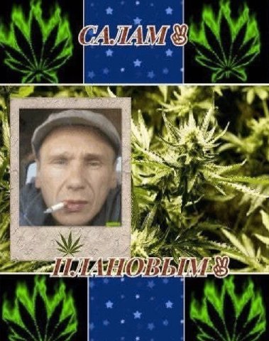 салам плановым