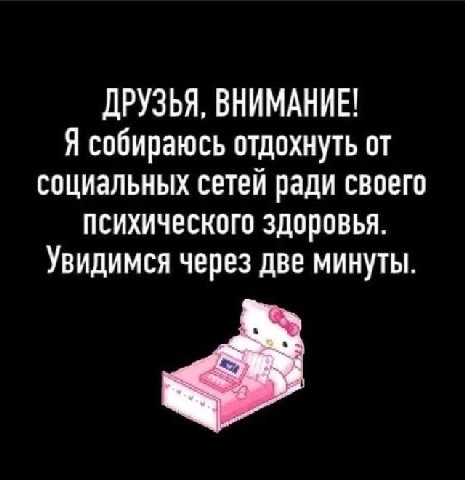 ДРУЗЬЯ, ВНИМАНИЕ! Я собираюсь отдохнуть от социальных сетей ради своего психического здоровья. Увидимся через две минуты.
