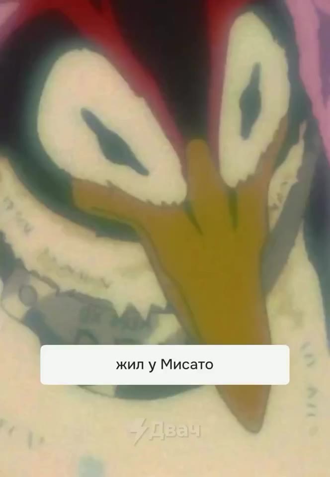 Все просто: ; жил у Мисато