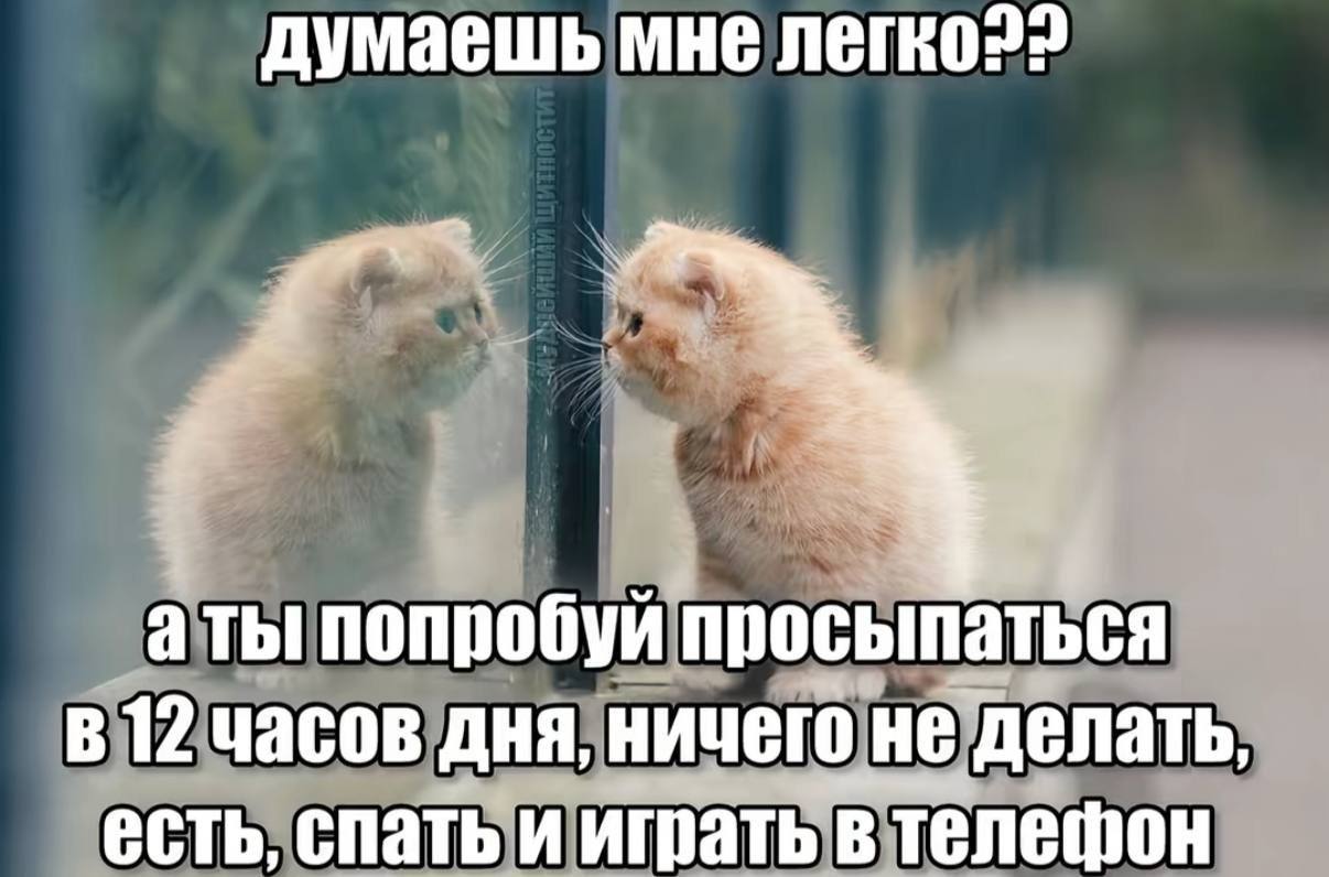 думаешь мне аты попробуй просыпаться 12 часов дня, ничего не делать, есть, спать и играть в телефон