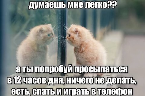 думаешь мне аты попробуй просыпаться 12 часов дня, ничего не делать, есть, спать и играть в телефон