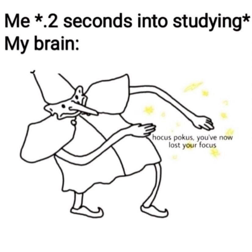 *.2 seconds into studying* My brain: ost