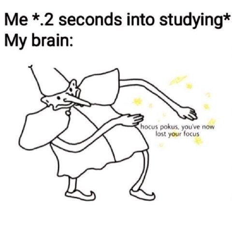*.2 seconds into studying* My brain: ost