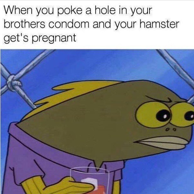 When you роке a hole in your brothers condom and your hamster get's pregnant