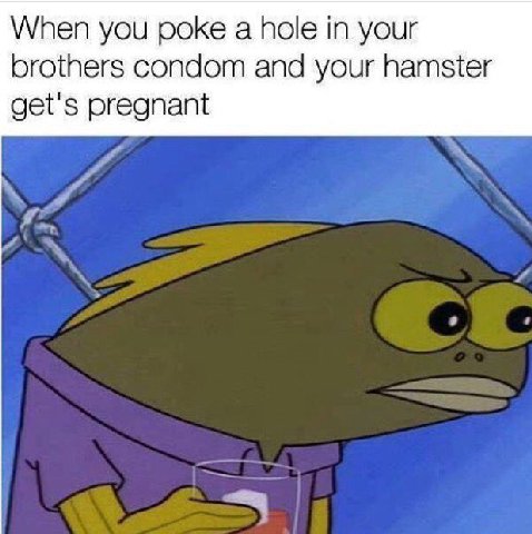 When you роке a hole in your brothers condom and your hamster get's pregnant
