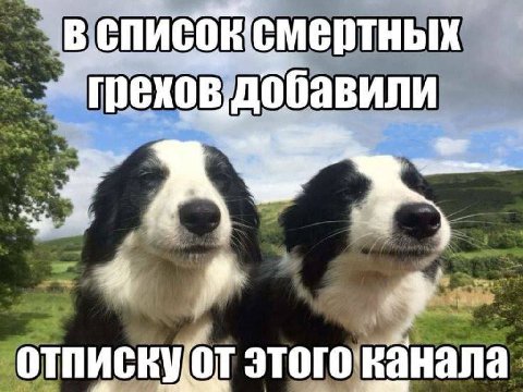 смертных 9. отпискуот этого канала