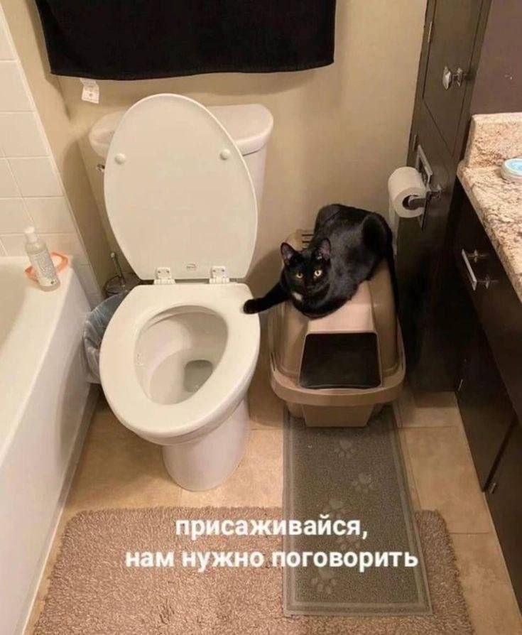 А присаживайся, нам нужно поговорить