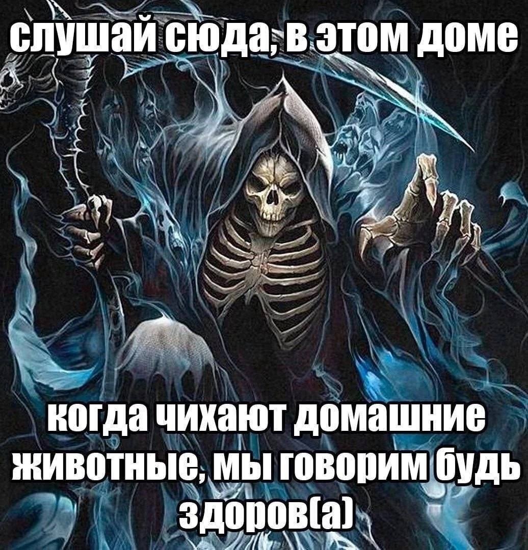 слушай этом доме когда чихают домашние ЖИВОТНЫЕ, МЫ говорим будь