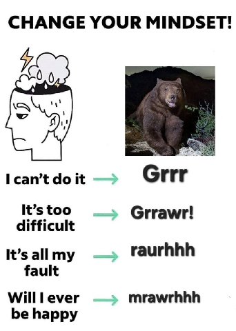 CHANGE YOUR MINDSET! can’t it Grrr It’s too Grrawr! difficult It’s all my raurhhh fault Willl ever mrawrhhh be happy