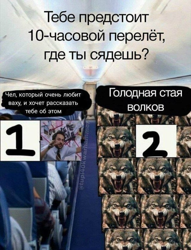 Тебе предстоит 10-часовой где ты сядешь? Чел, который очень любит Голодная стая ваху, и хочет рассказать 06 этом ВОЛКОВ A ral
